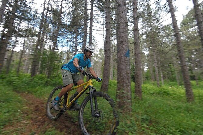 Olympus Mountain Biking - Rides tailored to you - Who Is This Tour Best For?
