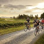 Omaka Aviation Museum and Wine Tasting Package - Private Tour - Frequently Asked Questions