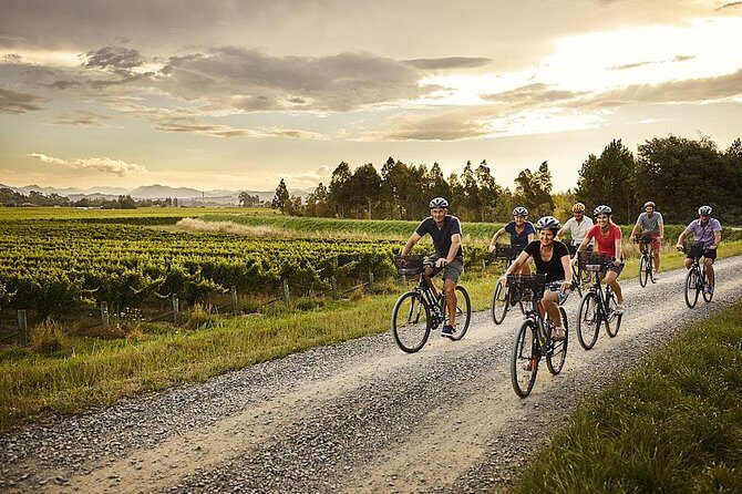 Omaka Aviation Museum and Wine Tasting Package - Private Tour - Frequently Asked Questions