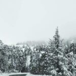 Omodos and Winiary tour, let's feel winter in Cyprus Mountain. - Final Thoughts