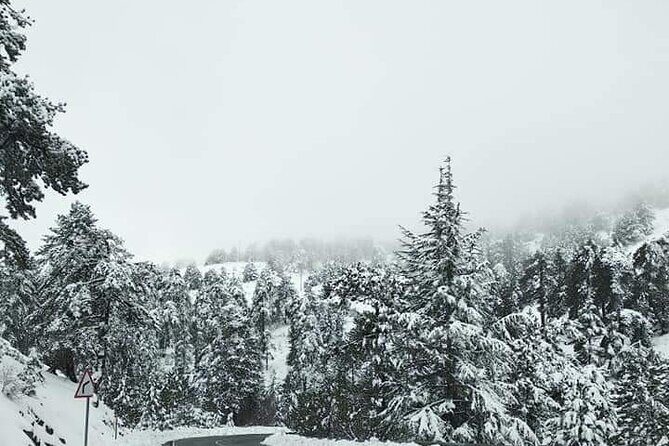 Omodos and Winiary tour, let's feel winter in Cyprus Mountain. - Final Thoughts