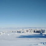 One-Day Hiking with Snowshoes on Vitosha - Exploring the Vitosha Experience in Detail