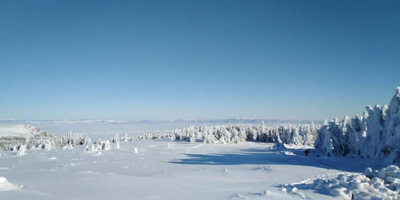 One-Day Hiking with Snowshoes on Vitosha - Exploring the Vitosha Experience in Detail