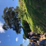 One day Hobbiton Movie set visit from Auckland - Who Will Love This Tour?