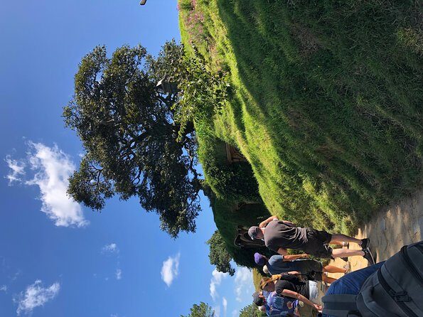 One day Hobbiton Movie set visit from Auckland - Who Will Love This Tour?
