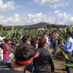 One day tour from Mexico City to Firefly Sanctuary - First Stop: The Town of Huamantla