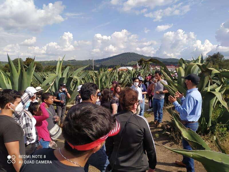 One day tour from Mexico City to Firefly Sanctuary - First Stop: The Town of Huamantla