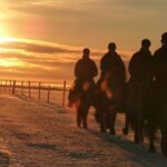 One-Hour Horseback Riding Tour in the Icelandic Countryside - Who Should Consider This Tour?