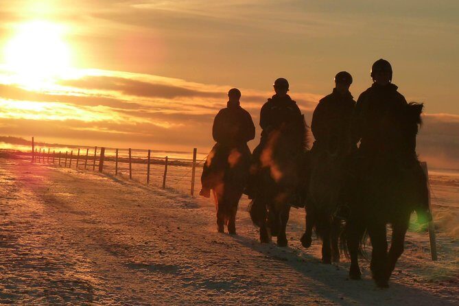 One-Hour Horseback Riding Tour in the Icelandic Countryside - Who Should Consider This Tour?