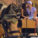 One-hour tour through the historic center and half Renaissance walls - Why a Horse-Drawn Carriage Tour Is a Standout Experience