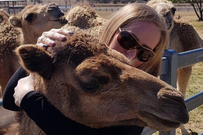 One Hump Camel Farm and Wine Tour - What Does the Experience Include?