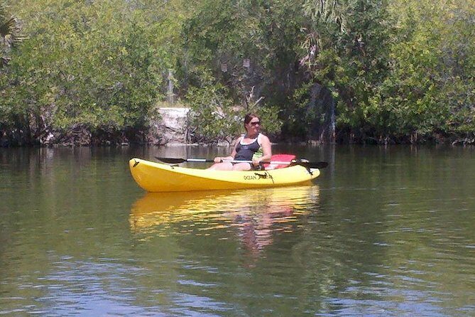 One Single Kayak Rental for 2 hours with Manatee & Dolphin sightings! - Who Should Book This Tour?