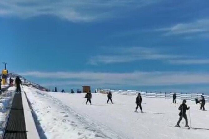 One way transfer to Remarkable or Coronet Peak Ski Fields - Detailed Review of the Transfer Experience