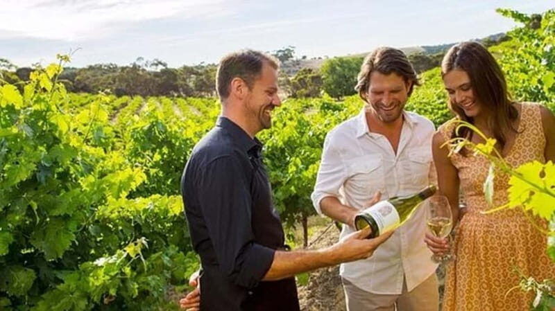 Ontario: Afternoon Wine Tour and Cheese Pairing - Who Is This Tour Best For?