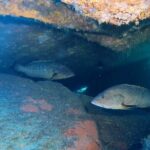 Open Water Diver course - Practical Details and Tips