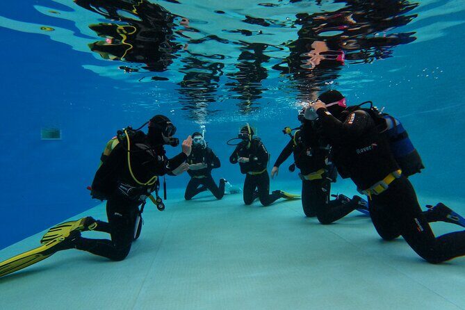 Open Water Diver Course in Arrabida Natural Park (Near Lisbon) - Detailed Breakdown of the Itinerary