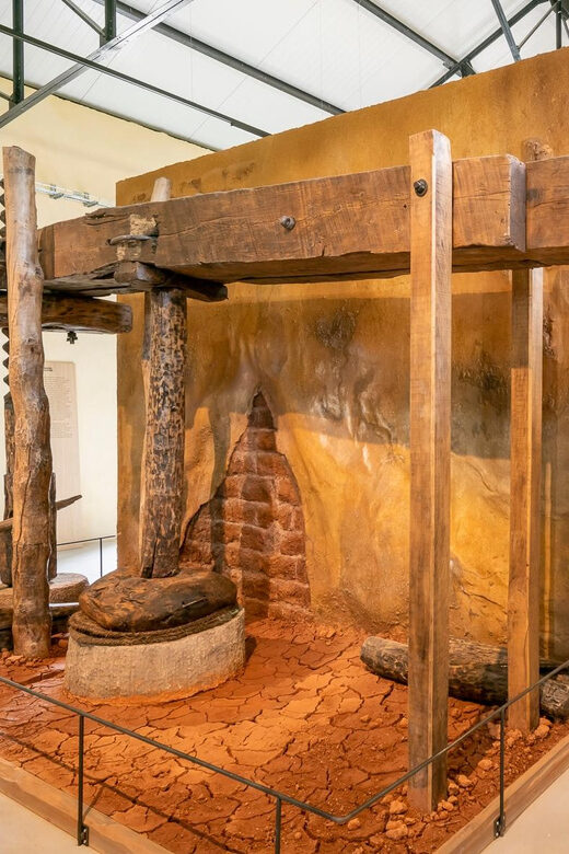 Oppède: Olive Oil Museum Visit - Exploring the Olive Oil Museum: What You Can Expect