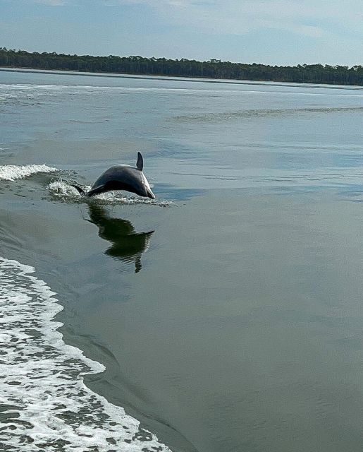Orange Beach: Dolphin-Watching Eco-Boat Tour - A Closer Look at the Orange Beach Dolphin Eco-Boat Tour