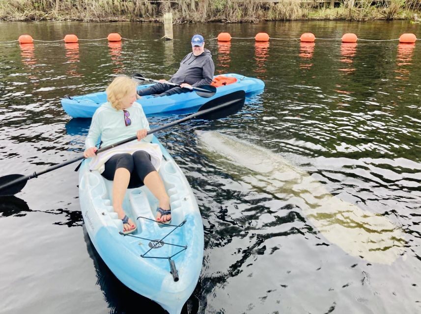 Orange City: Blue Spring State Park SUP & Kayaking Tour - The Experience in Detail