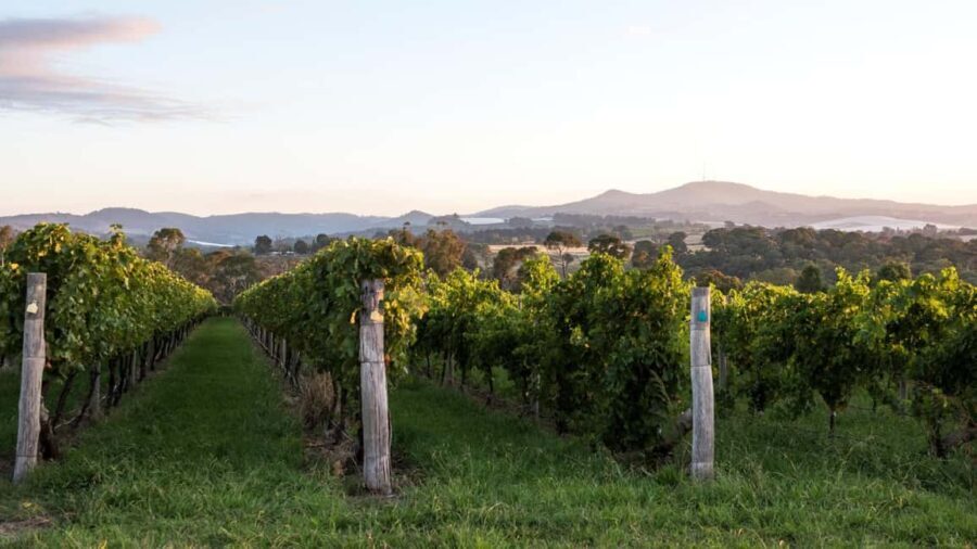 Orange: Explore with Swinging Bridge - Guided Tour & Tasting