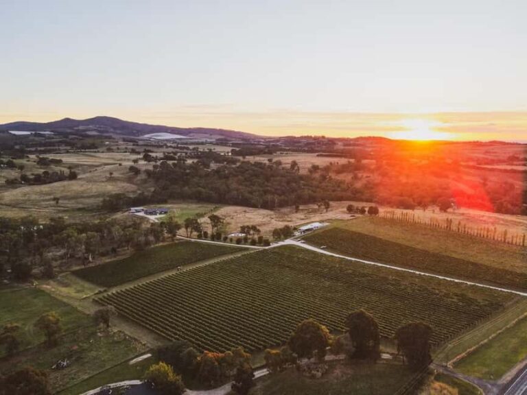 Orange: Indulge with Swinging Bridge - 5-Course Lunch & Tour - Who Should Consider This Tour?