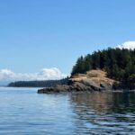 Orcas Island: Wildlife Spotting Kayak Tour - The Hidden Coastline and Wildlife