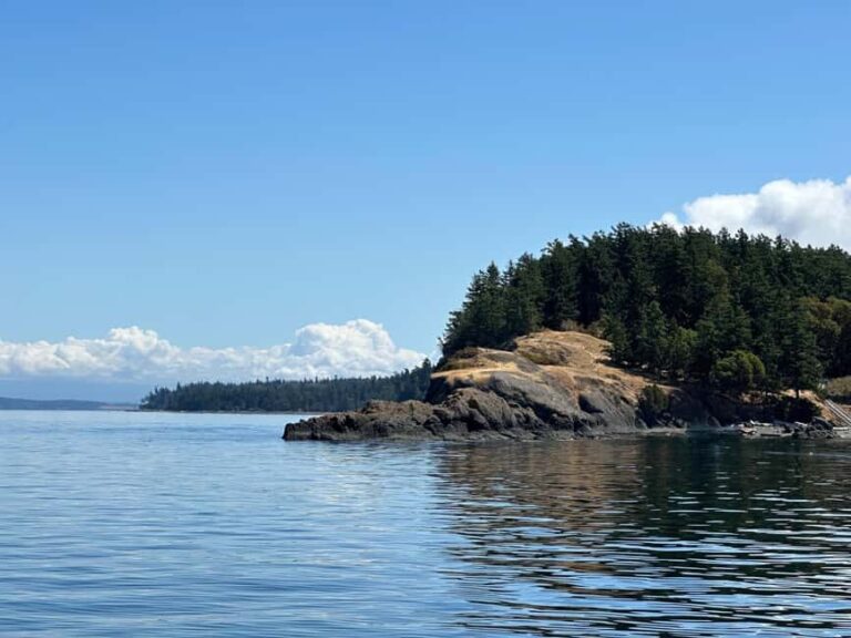 Orcas Island: Wildlife Spotting Kayak Tour - The Hidden Coastline and Wildlife
