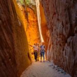 Orderville/Kanab: Coral Sands Canyoneering & Rappelling Tour - The Experience: What You’ll Feel and See