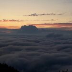 Organic Pokut Tour - Why Choose This Tour?