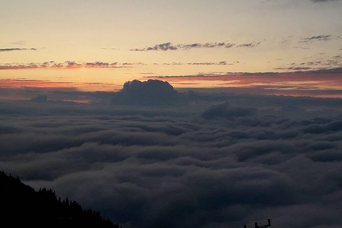 Organic Pokut Tour - Why Choose This Tour?
