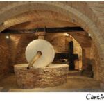 Organic Wine Tasting & tasting of EVO CantinArte OIL MUSEUM - Who Will Love This Tour?