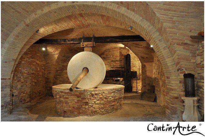 Organic Wine Tasting & tasting of EVO CantinArte OIL MUSEUM - Who Will Love This Tour?