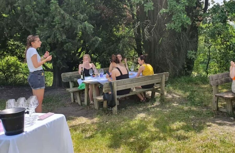 Organic Winery Visit with Wine & Food Tasting in Bologna - Final Thoughts: Why This Tour Is a Worthwhile Choice