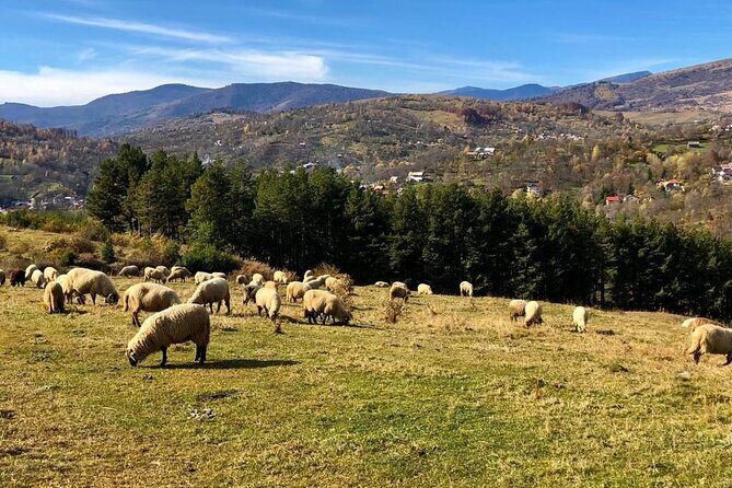 Original Carpathian Village Experience and Sinaia in one day tour - The Value of This Tour
