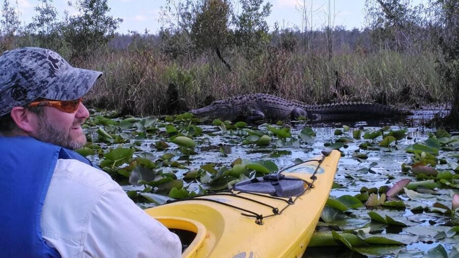 Orlando Alligator Experience: Day-Trip From Orlando - Who Will Appreciate This Tour?