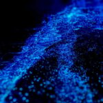 Orlando: Bioluminescence Kayak Tour - What Makes This Tour Special?