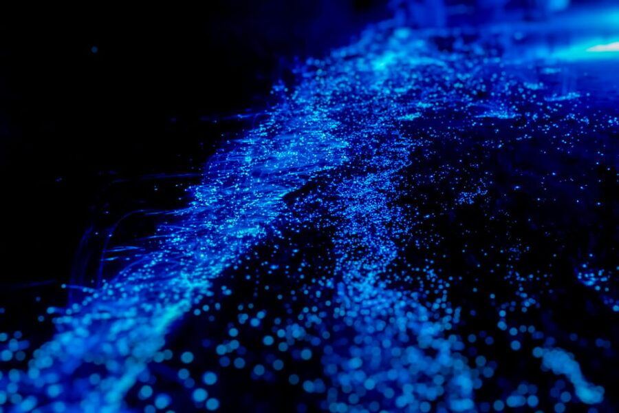 Orlando: Bioluminescence Kayak Tour - What Makes This Tour Special?