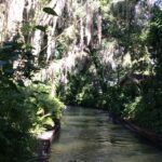 Orlando: City Highlights and Hidden Gems Tour - An In-Depth Look at the Orlando Highlights and Hidden Gems Tour