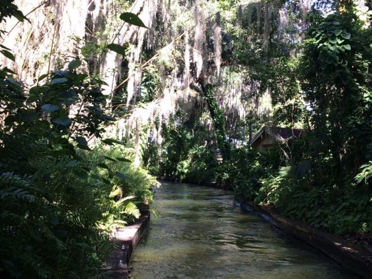 Orlando: City Highlights and Hidden Gems Tour - An In-Depth Look at the Orlando Highlights and Hidden Gems Tour