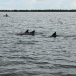 Orlando: Dolphin Clear Kayak or Paddle Board Adventure - An In-Depth Look at the Experience