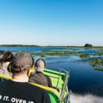 Orlando: Florida Everglades Wildlife Airboat Tour - What to Expect on the Tour