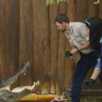 Orlando: Gatorland Interactive Tour with Animal Trainer - The Value of This Experience