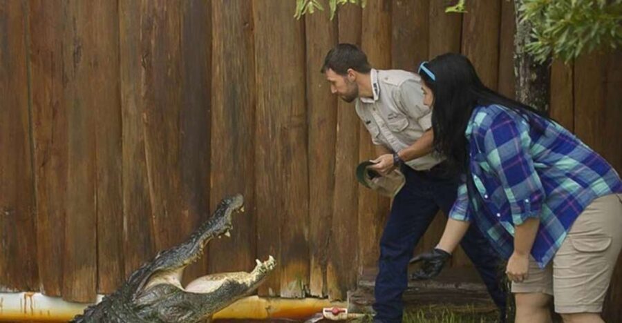 Orlando: Gatorland Interactive Tour with Animal Trainer - The Value of This Experience