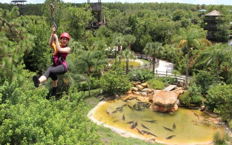 Orlando: Gatorland Zipline Adventure w/ Full-Day Park Access - Practical Tips