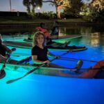 Orlando: LED Night Glow Clear Kayak or Paddleboard Tour - The Itinerary: What to Expect
