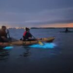 Orlando: Magic After Dark Bioluminescence Kayak Tour - Why This Tour Is a Great Choice