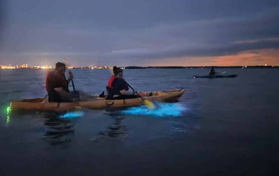 Orlando: Magic After Dark Bioluminescence Kayak Tour - Why This Tour Is a Great Choice