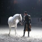 Orlando: Medieval Times Dinner and Show Ticket - What to Expect During Your Visit