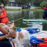 Orlando: Paddle with Pups in Paradise - Paddleboard or Kayak - Who Will Love This Tour?