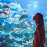 Orlando: SEA LIFE Orlando Aquarium - In-Depth Look at the Experience